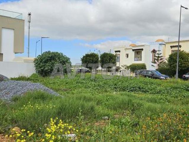 Terrain pour villa à vendre à Tamesna