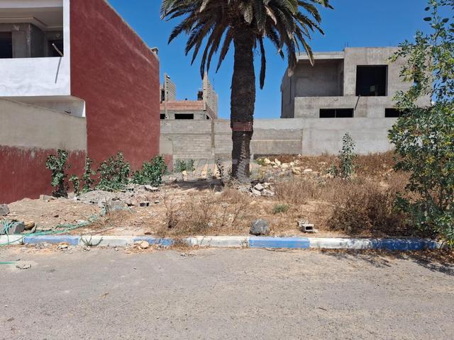 Terrain pour Villa à Safi Route Sidi Bouzid