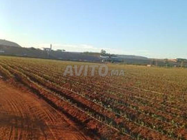 Terrain pour villa/alhawzia