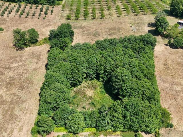 Terrain Prats De Carlux 4636 m2
