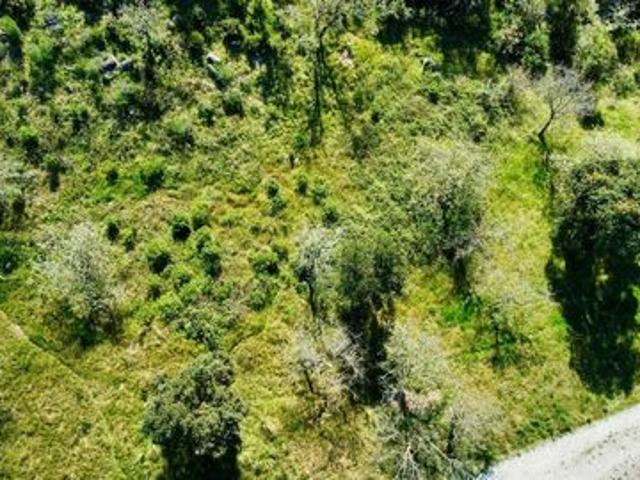 Terrain avec permis purgé proche St Tropez