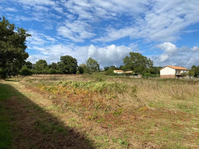 Terrain Proche centre Bourg