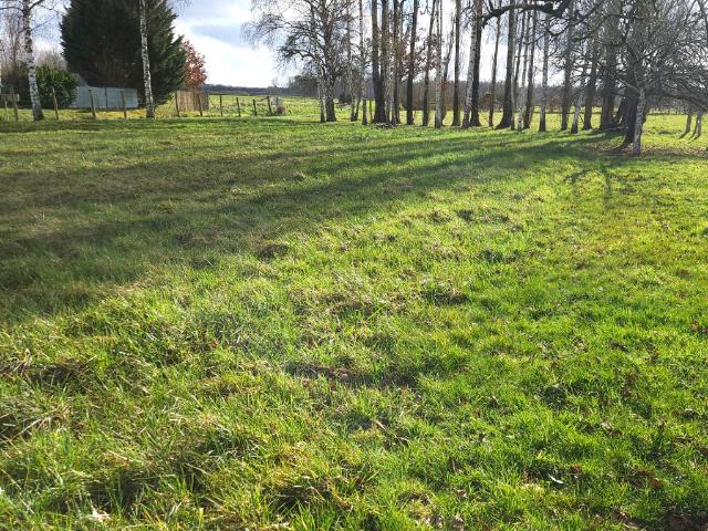Terrain constructible Chauffour Les Baillys
