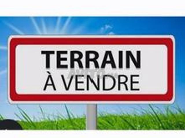 Terrain R6 Maamora