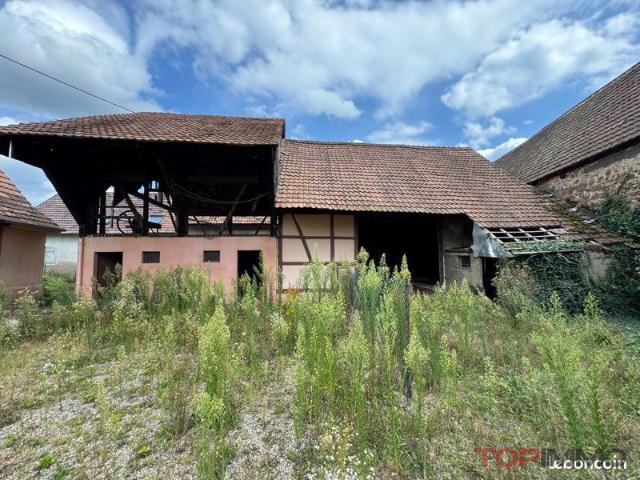 Terrain Ruelisheim 602 m2