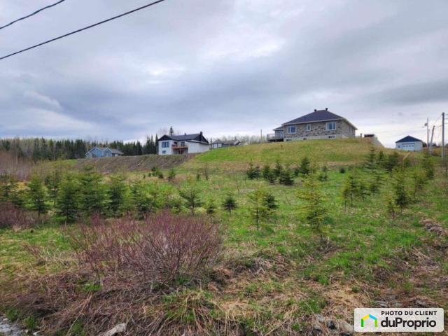 Terrain résidentiel à vendre Lac Au Saumon #1055