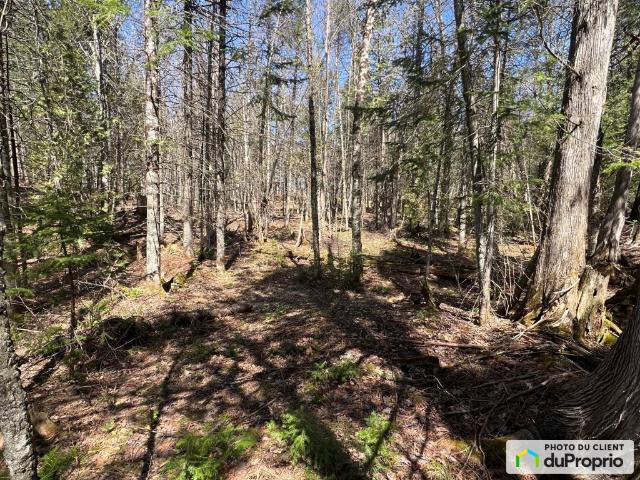 Terrain résidentiel à vendre Rawdon #1080