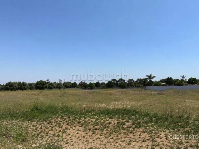 Terrain Pour villa de 3000 m² Ave Mohammed VI Rabat