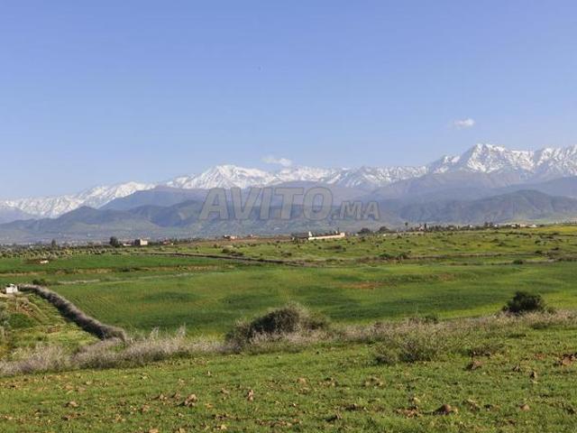 Terrain route de l ourika