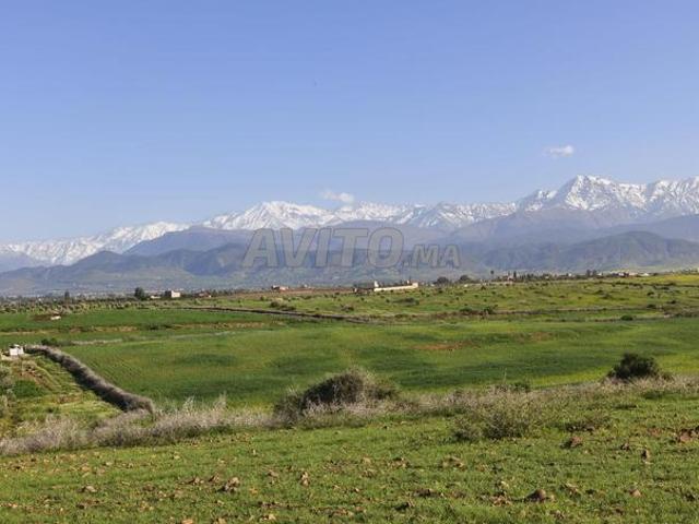 Terrain Route d'Ourika
