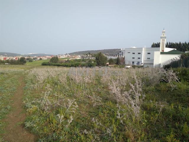 Terrain stratégique à Charrata