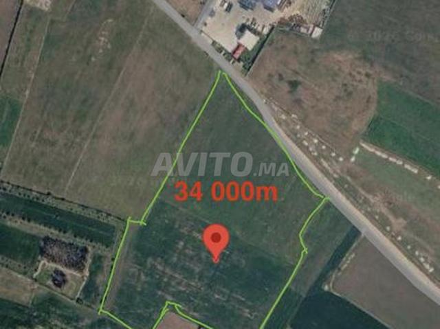 Terrain. Superficie 34 000 m²