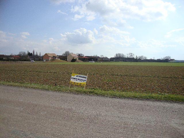 Terrain sur la commune de Verjux