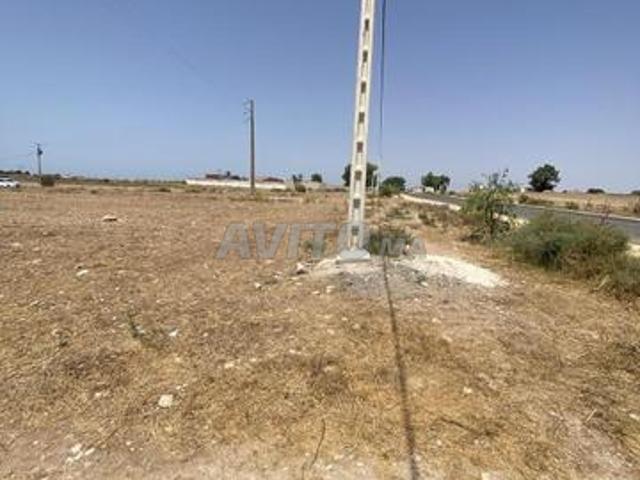 Terrain sur la route à 16 km de El Jadida Oulad Hssain
