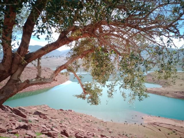 Terrain sur l'eau Bin Ouidan