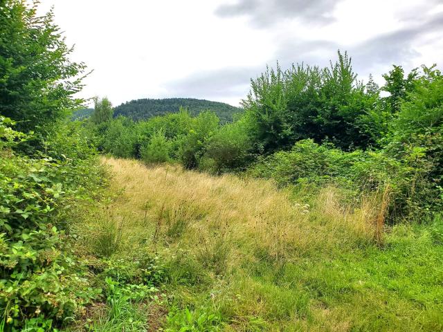 Terrain sur les hauteurs du village de 8.90 ares