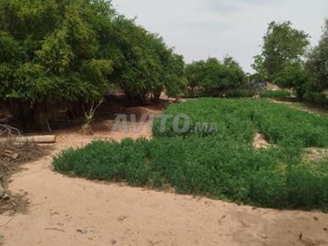 Terrain sur rue principale 491m Taghmerte – Guelmim