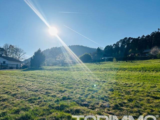 Terrain Saint Die Des Vosges 1902 m2