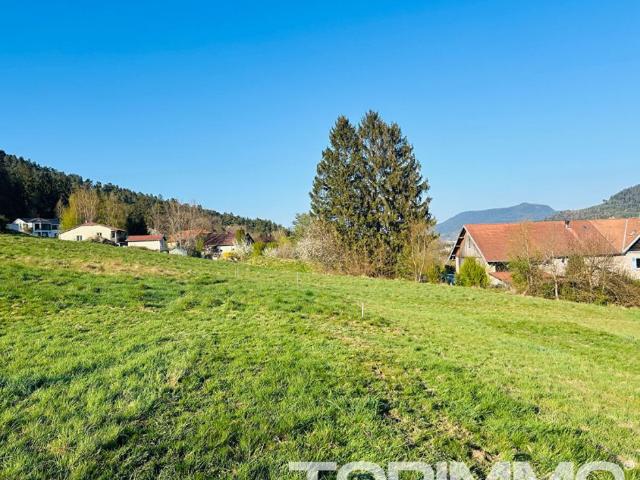 Terrain Saint Die Des Vosges 1199 m2