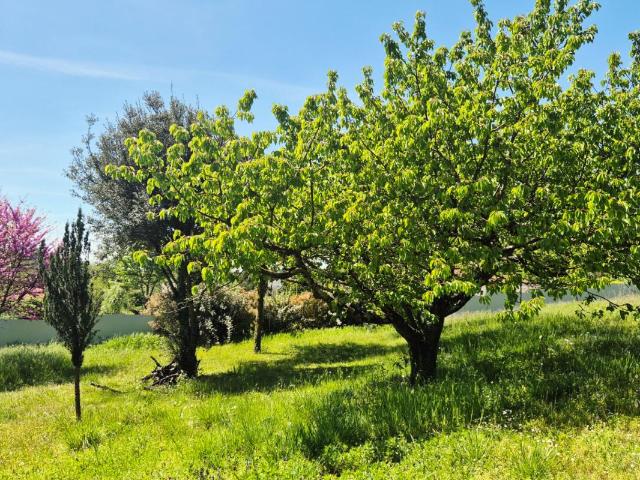 Terrain Saint Lattier 1193 m2 85 000 Euros
