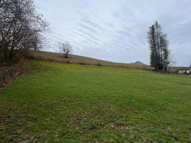 Terrain Sare