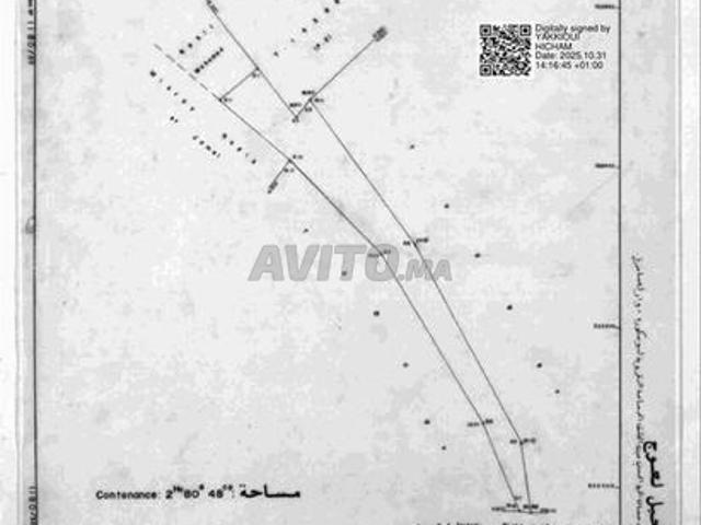 Terrain titré avec fort potentiel et stratégique