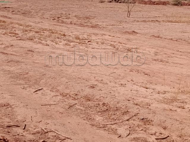 Terrain titre a 35km d'agadir