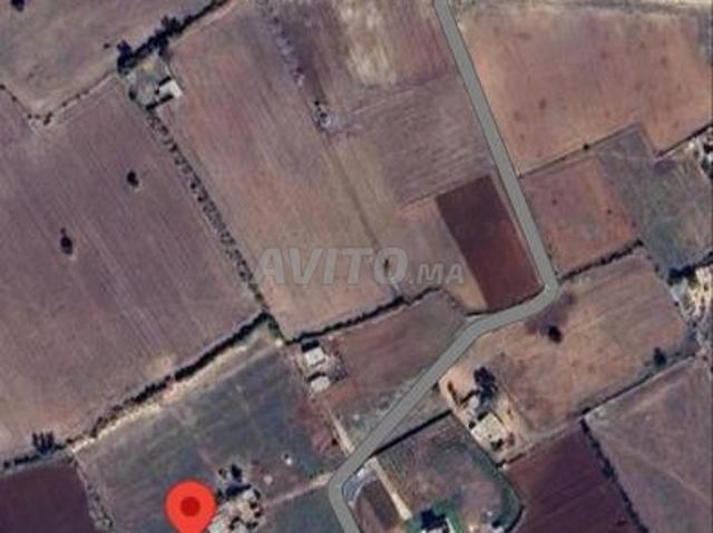 Terrain titrè a Bir jdid