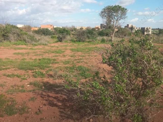 Terrain titré à issen 38 km d'agadir