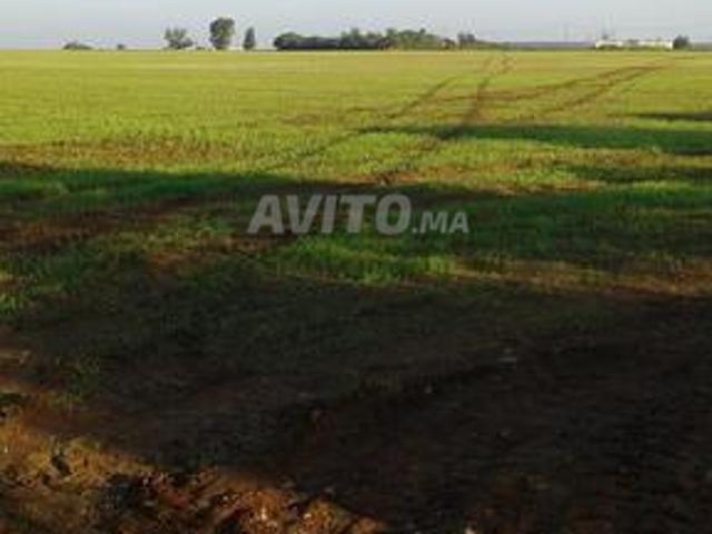 Terrain titré à Médiouna à vendre de 57860 m²