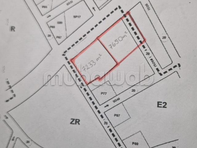 Terrain titre a vendre a Lahraouyine
