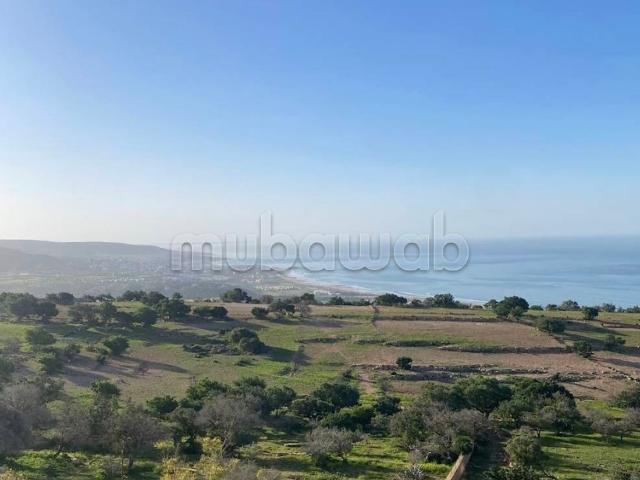 Terrain titré a vendre a taghazout ifraden