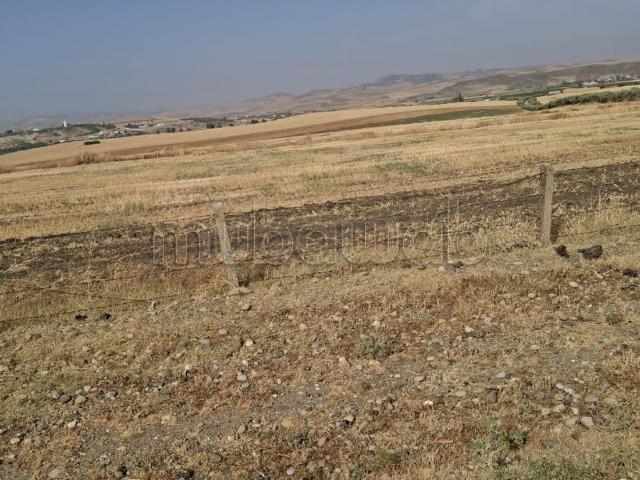 Terrain titré à vendre de 253 hectares