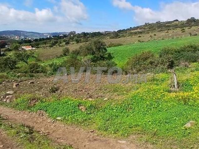 Terrain titré à vendre près de l'usine Renault