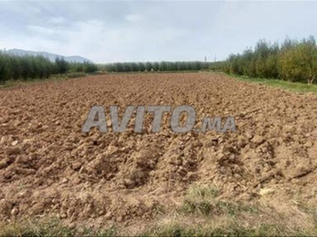 Terrain titré à vendre – Vue mer, Sidi Rahal