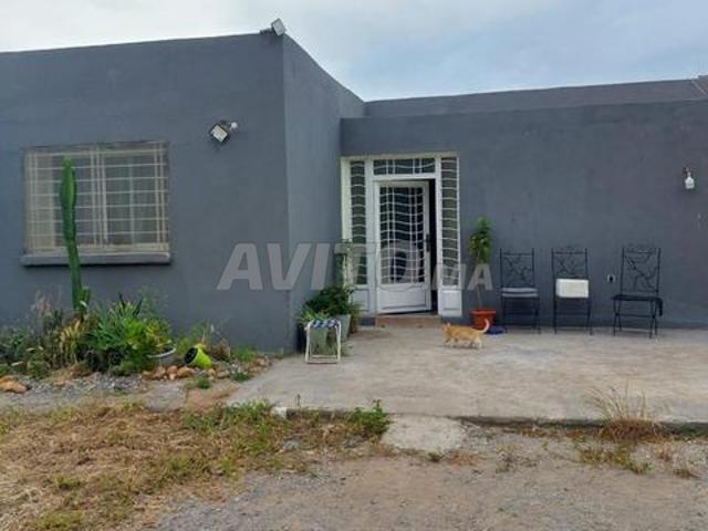 Terrain titré à vendre 17000 m² Manzah Ain Aouda