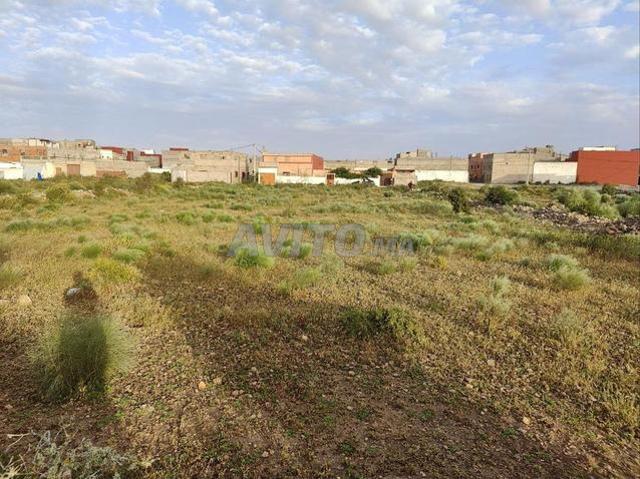 Terrain titré à vendre 2350 m² à Sidi Bouzid