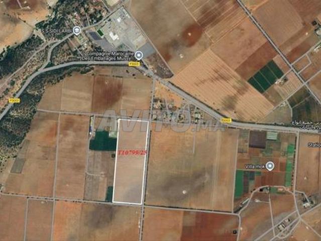 Terrain titre agricole 8ha Mohammadia