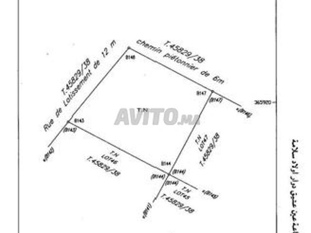 Terrain titré Ain Attig loti Alia 150m2