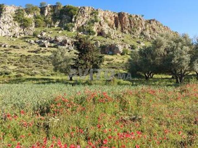 Terrain titré constructible 464m2