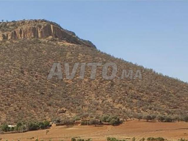 Terrain Titré constructible dans secteur attrayant