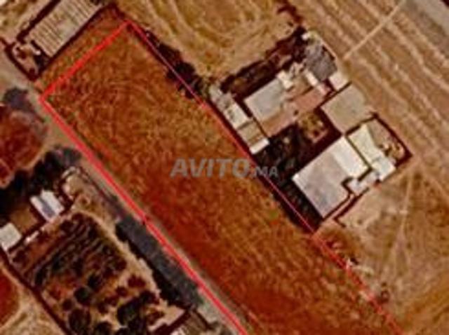 Terrain titré de 1 700 m² à vendre à Aïn Tekki