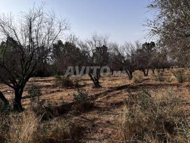 Terrain Titré de 2,25 Ha à Vendre