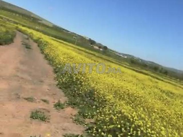Terrain titré de 5825 m² sur la route d'Oujda 45 millions