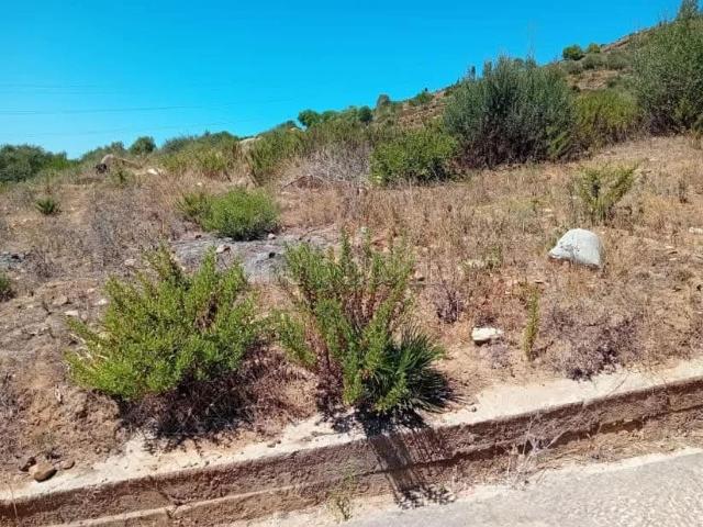 Terrain titré de 5000 m2 à Ain bellouth Tanger