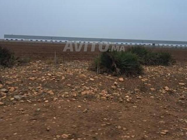 Terrain titré khyayta 800 dh