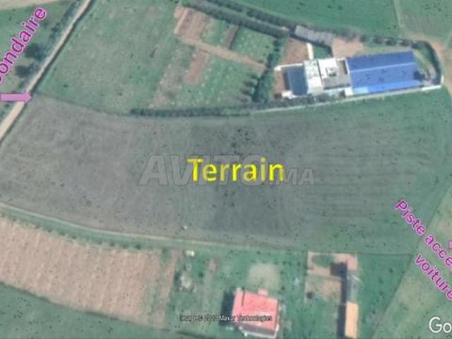 Terrain titré pour petite ferme