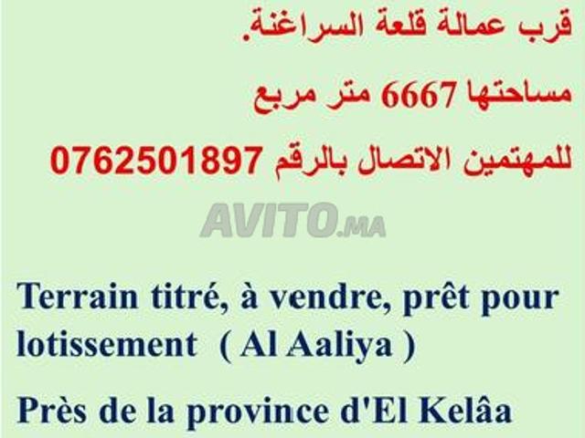 Terrain titré projet lotissement à vendre