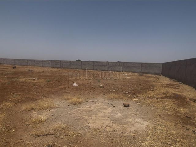Terrain titre 1.5 ha route l’ourika zone sd1