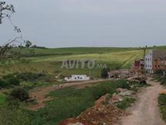 Terrain titré Tiflet lotissement 64m2